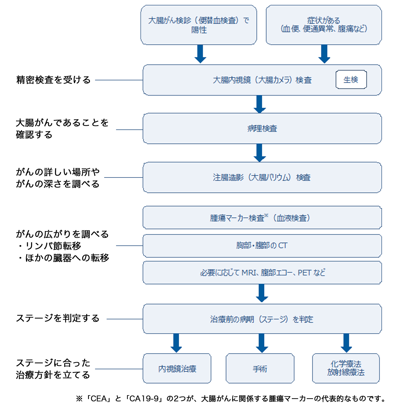 便 の 癌 写真 大腸 色