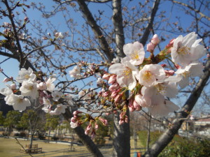 20140402さの2