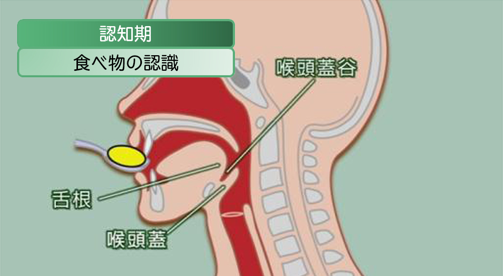 むせ よく咳をする のみ込みにくい 関西ろうさい病院 兵庫県尼崎市 地域医療支援病院 がん診療連携拠点病院