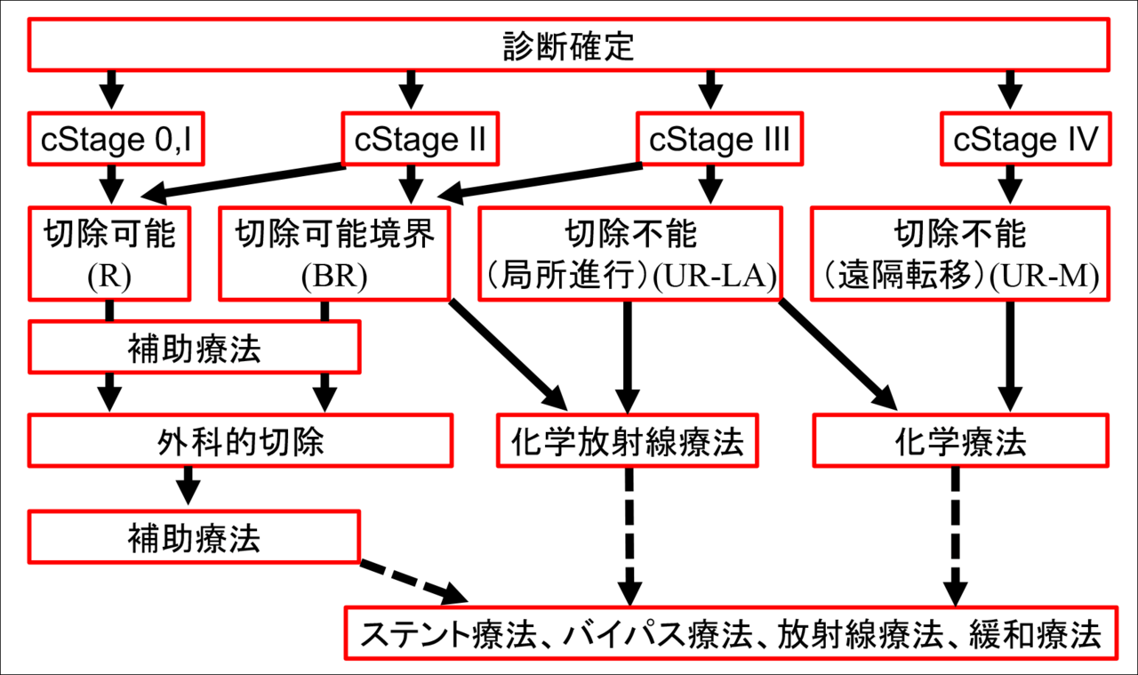 ガイドライン 膵癌 膵癌診療ガイドライン2019 一部改定