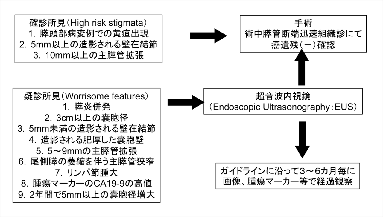 図5　関西労災病院におけるIPMN治療方針