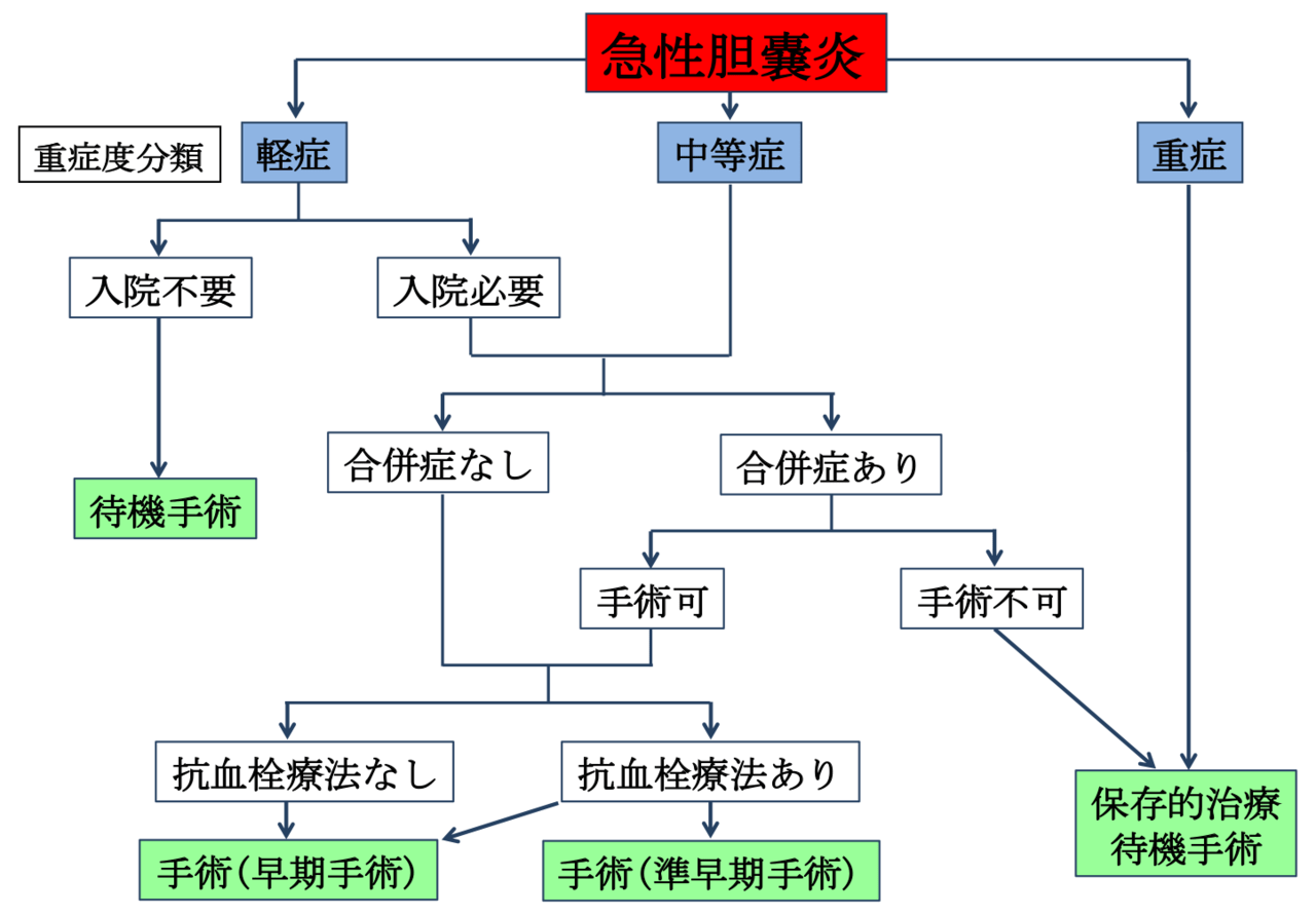 図4　当科での胆のう炎診療方針